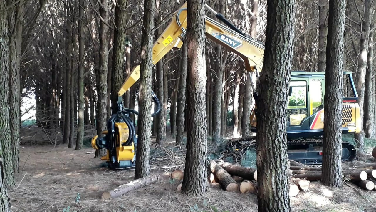 DERRUBADA HAVESTER H6