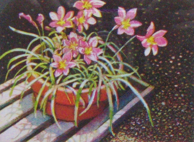 Hegler, Well Tended, 3x4 Aquatint