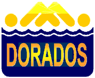 Escuela de natación – Organización Deportiva Acuática Dorados AC – Monterrey