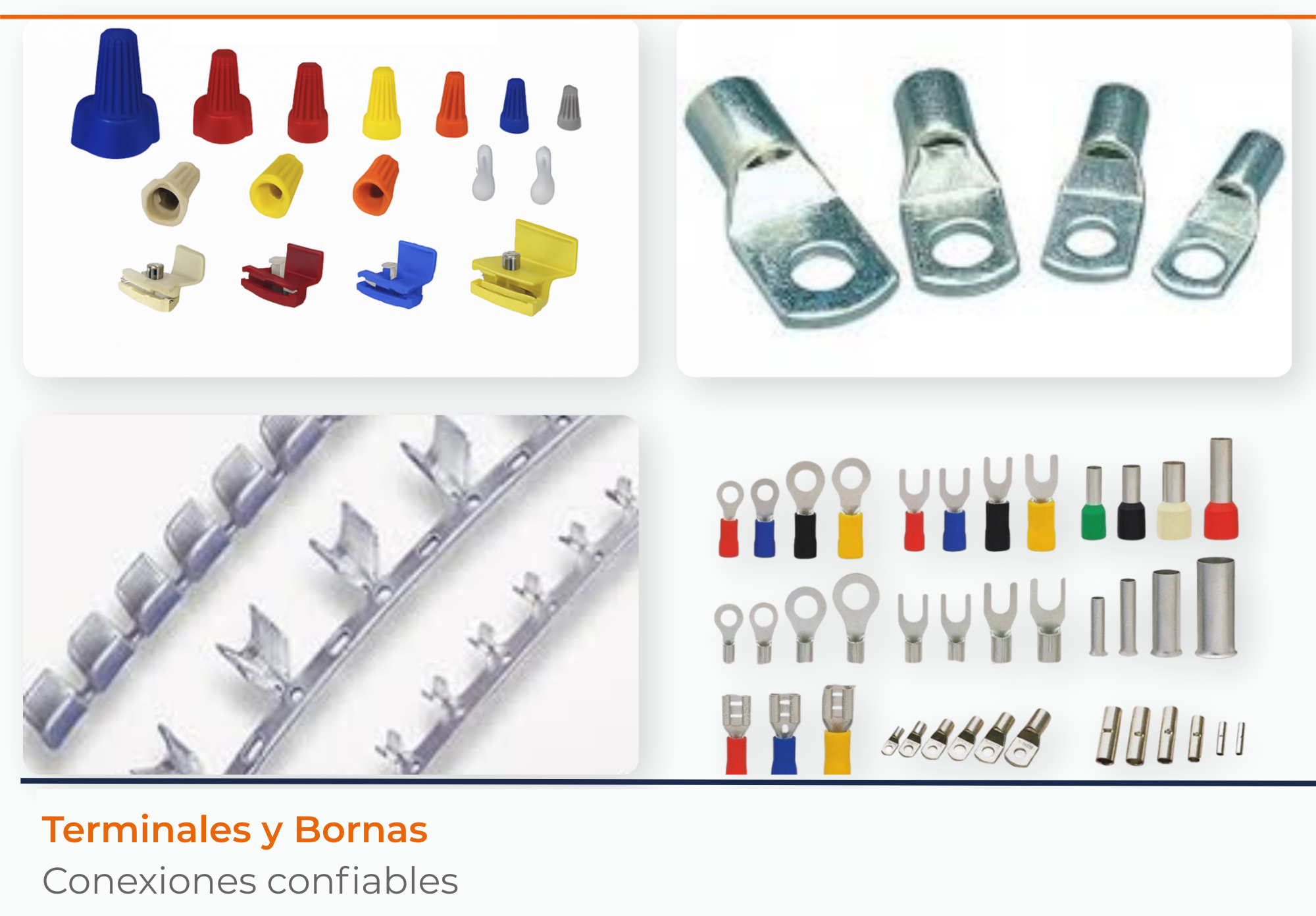 Couple riding bicycles