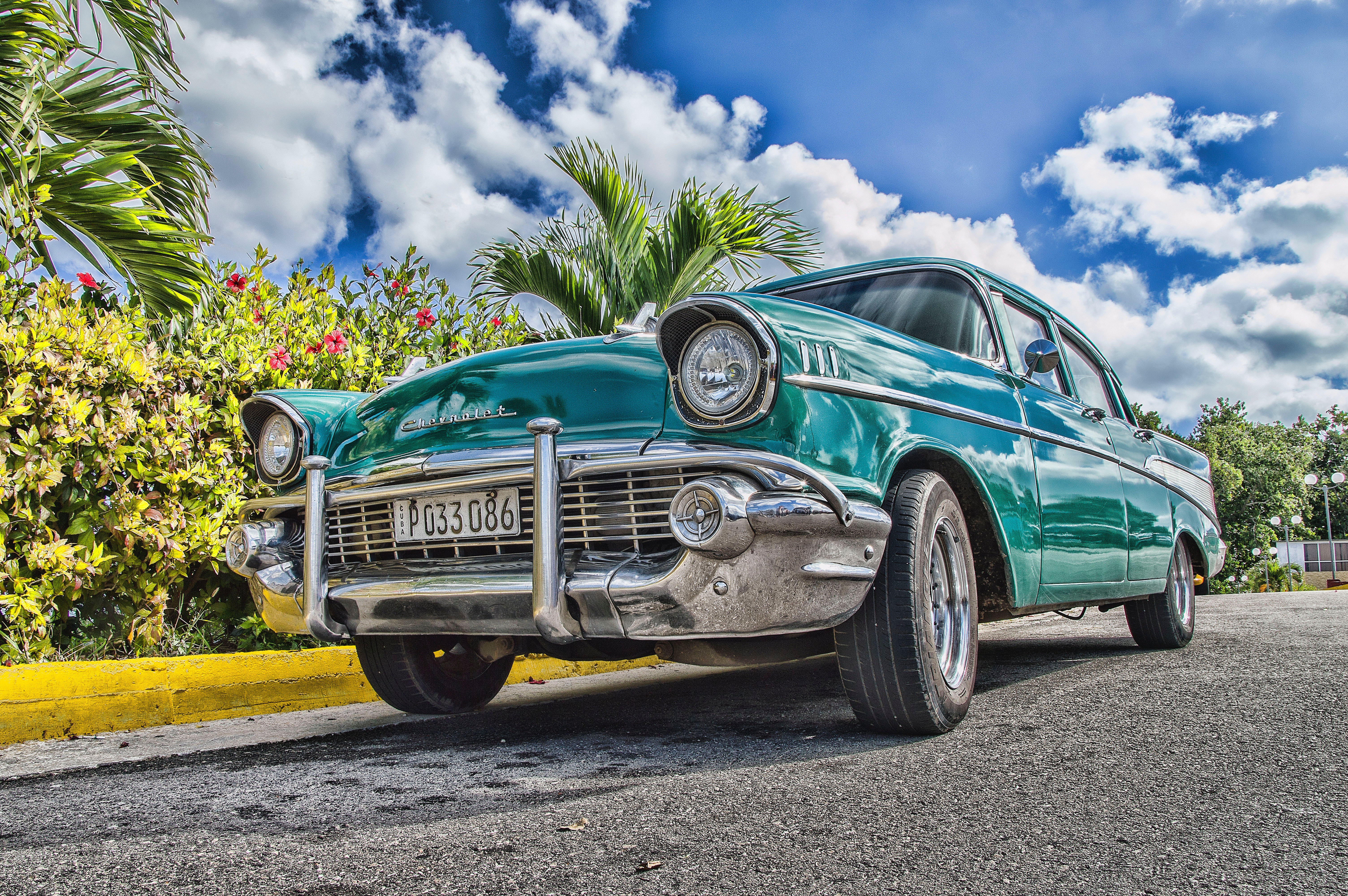 Automotive oil