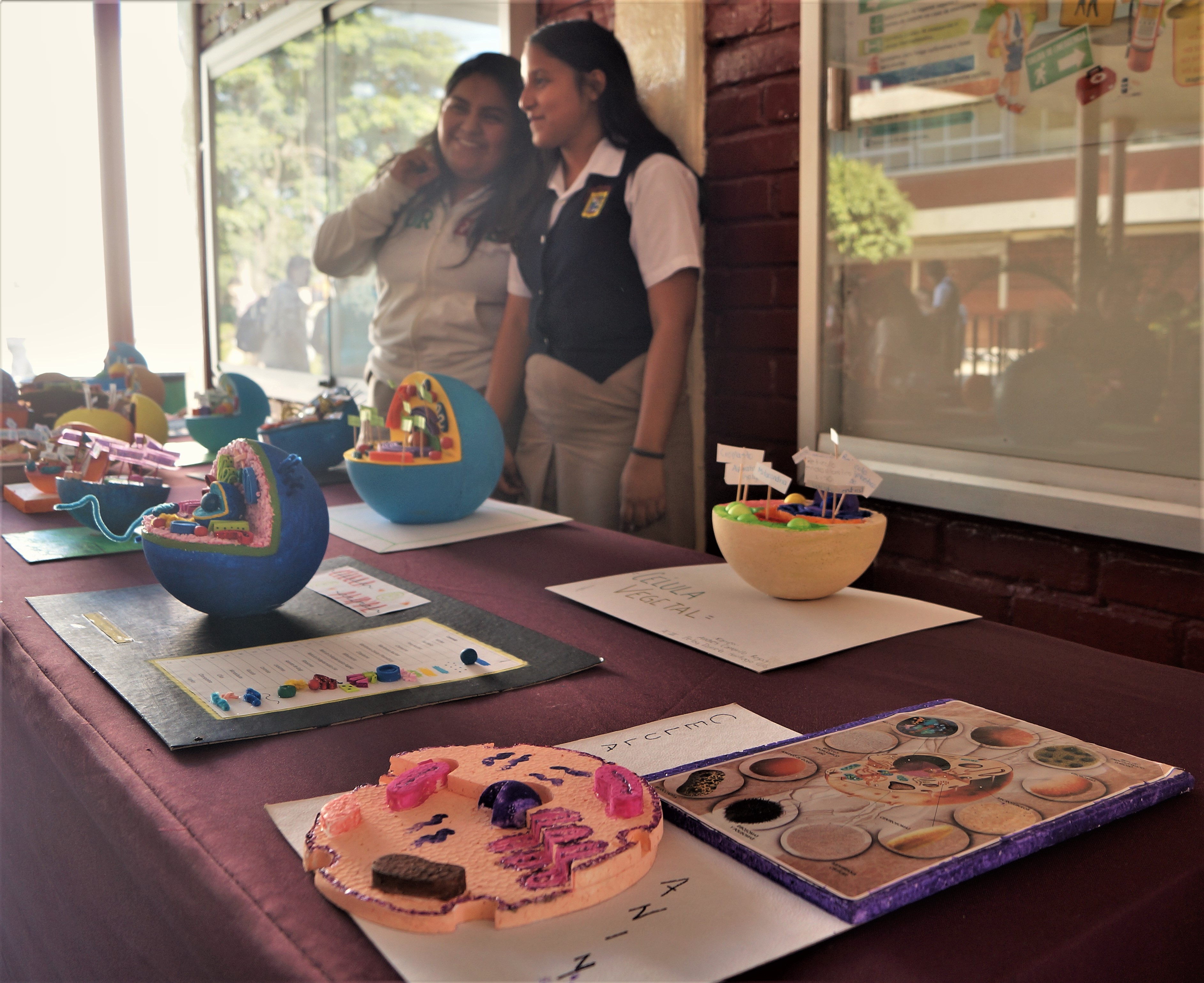 EXPOSICIÓN DE CÉLULAS
18 DE OCTUBRE 2017