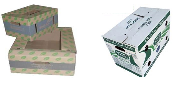 Cajas agrícolas
Este tipo de cajas son especialmente hechas para el traslado de frutas y verduras, logrando un resistencia conveniente al cliente