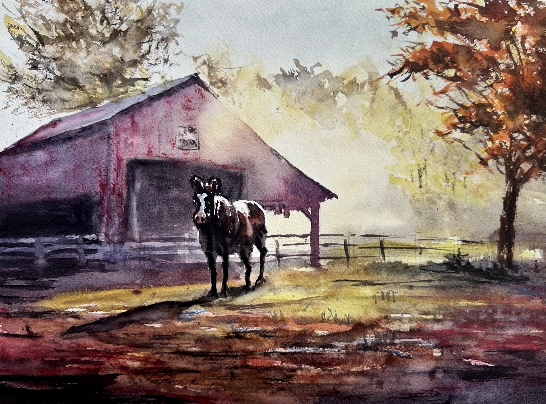 https://0201.nccdn.net/1_2/000/000/11f/63a/horse.jpg