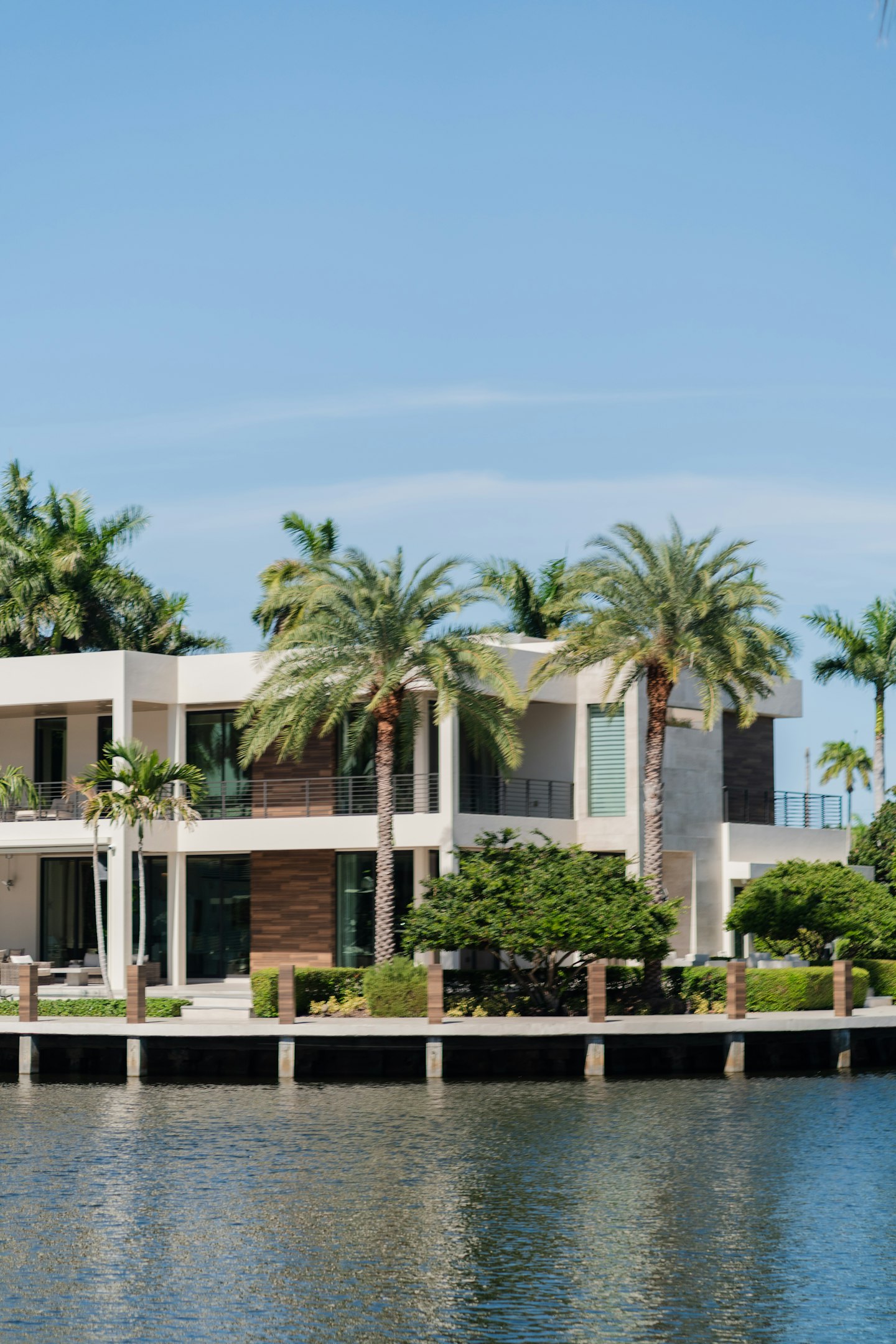Modern house with palm trees by the water Modern house with palm trees by the water