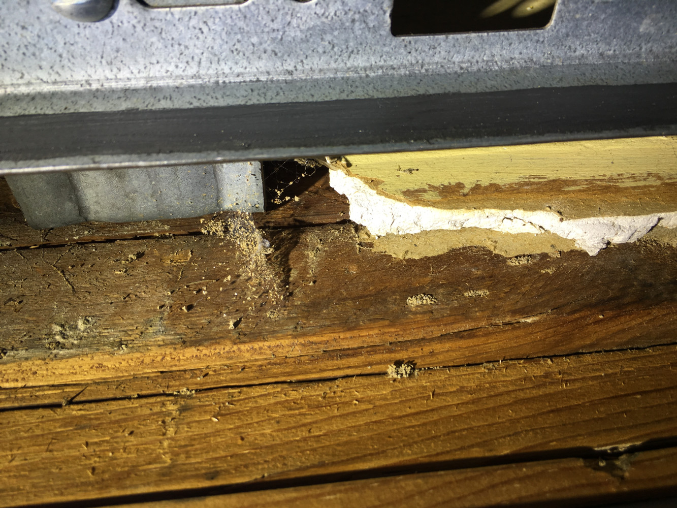 Termite mud tubes also called shelter tubes.
