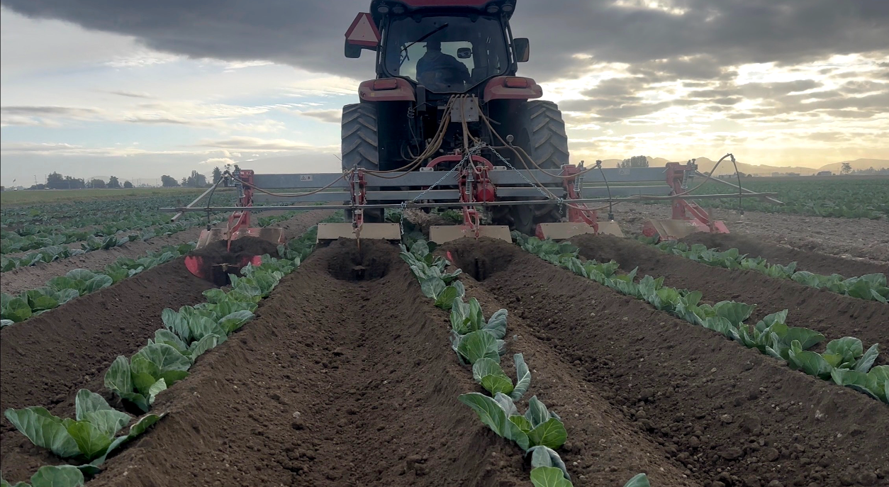 https://0201.nccdn.net/1_2/000/000/120/286/bottom-left-cultivator.png