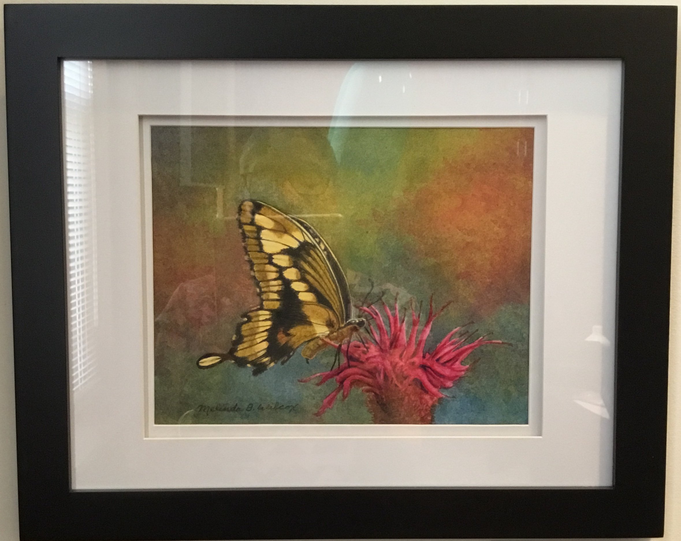 Swallowtail on Pink Flower
Watercolor
8"x10"
$275.