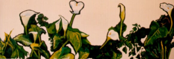 Op-062 CALLA LILIES 24 in x 72 in Oil on Canvas circa 1985