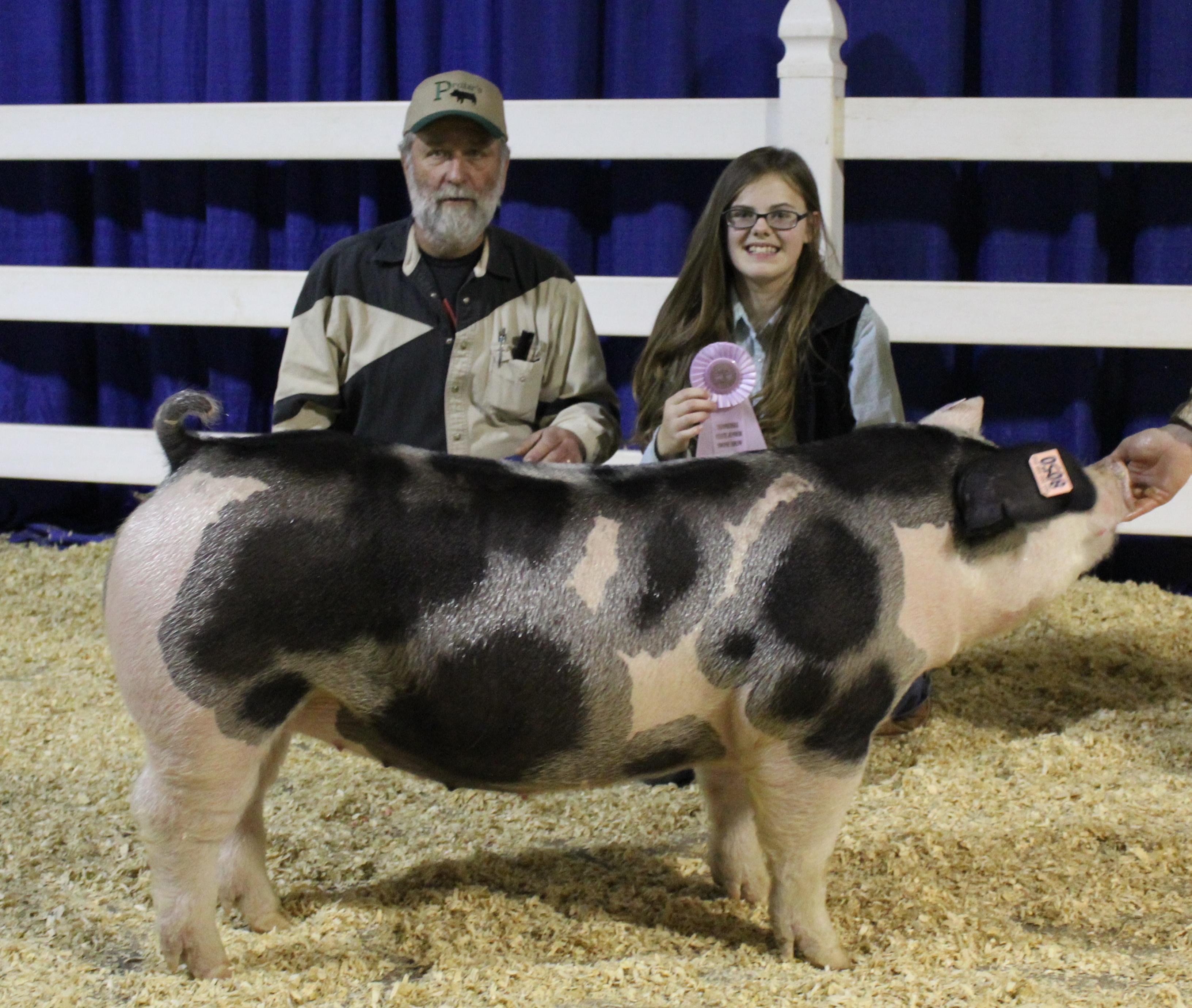 Emily Cline
2019 Tennessee State Show
Reserve Champion Spot Gilt