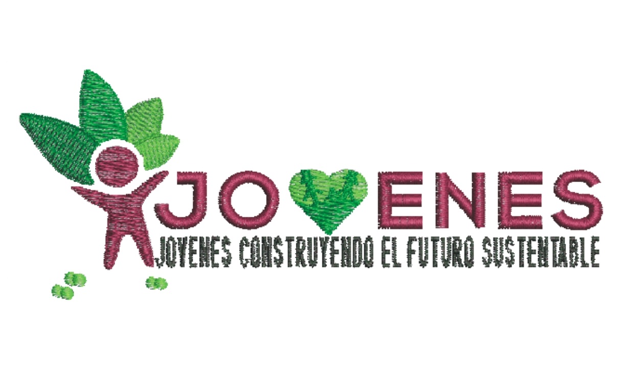 https://0201.nccdn.net/1_2/000/000/120/d40/Jovenes-construyendo-el-futuro_page-0001.jpg