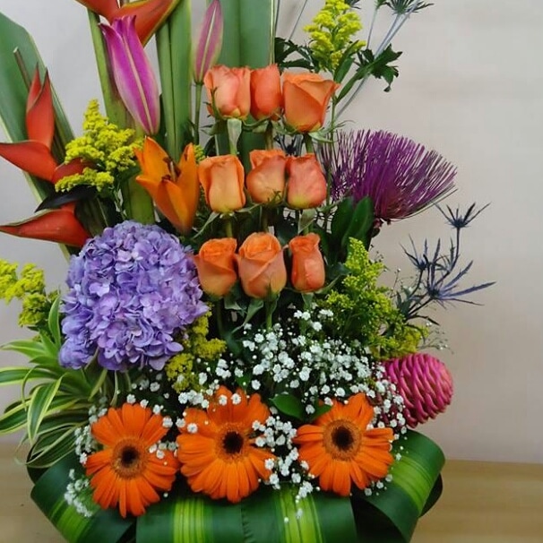 https://0201.nccdn.net/1_2/000/000/120/ea2/IMG-20190430-WA0080.jpg