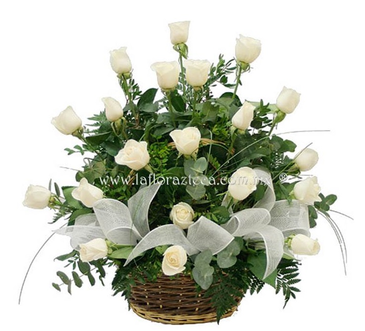 LFA-W005 Canasta circular
Precio $1,180