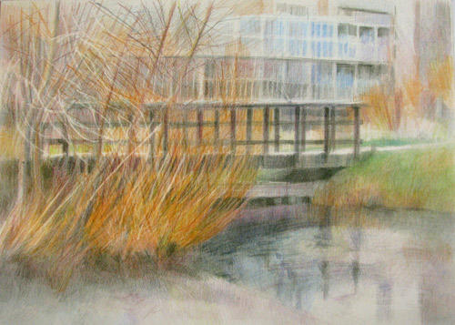 #3 Canal View Bridge and Moor Hen Pond 2nd January 2009