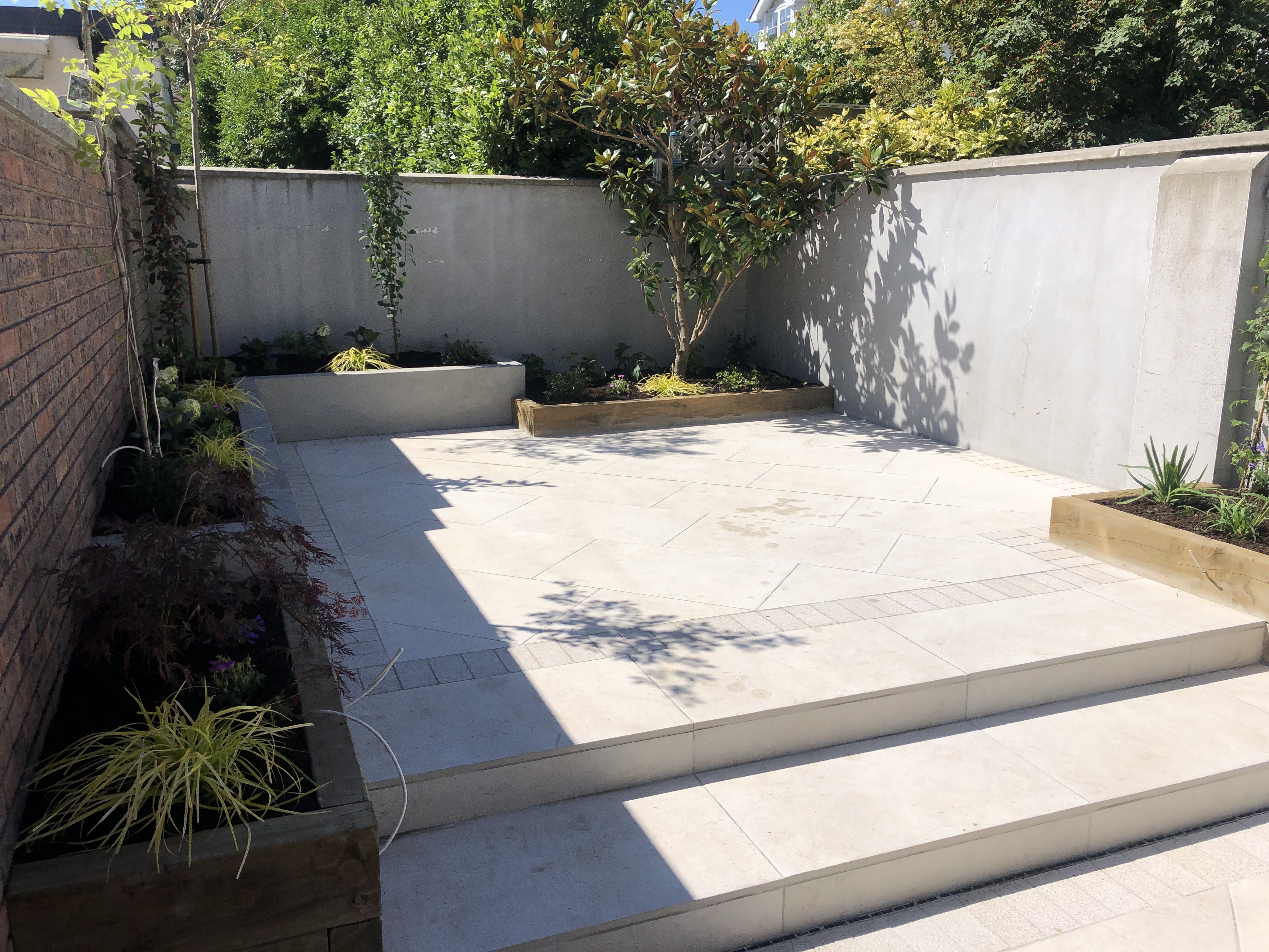 Contemporary Courtyard Garden with no Lawn