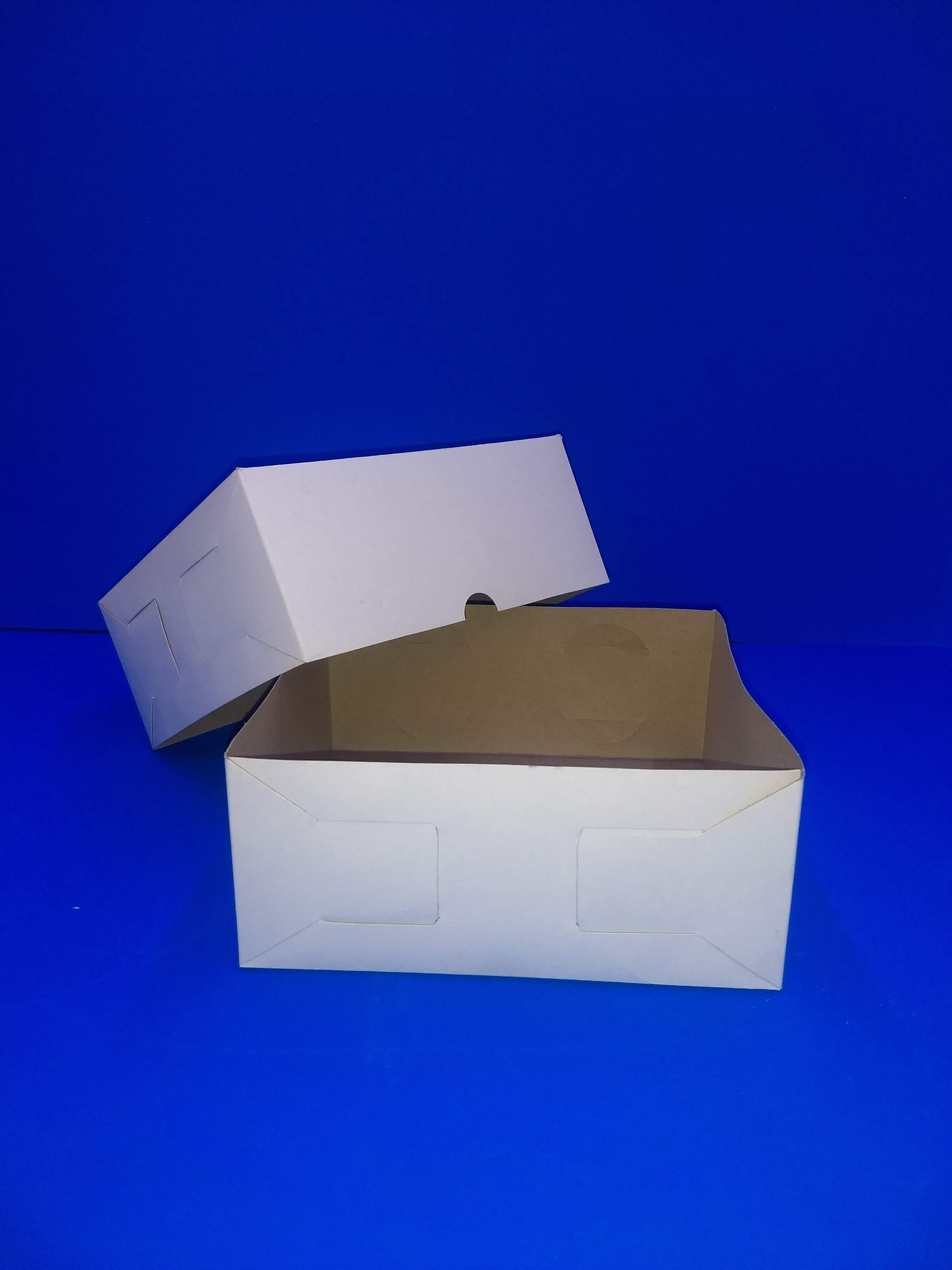 CAJA CAPLE BLANCA
MODELO #9 24X20X9