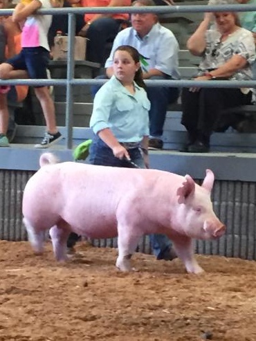 Ann Thomas Lowery
2018 Dyer County Fair
Champion Yorkshire Gilt