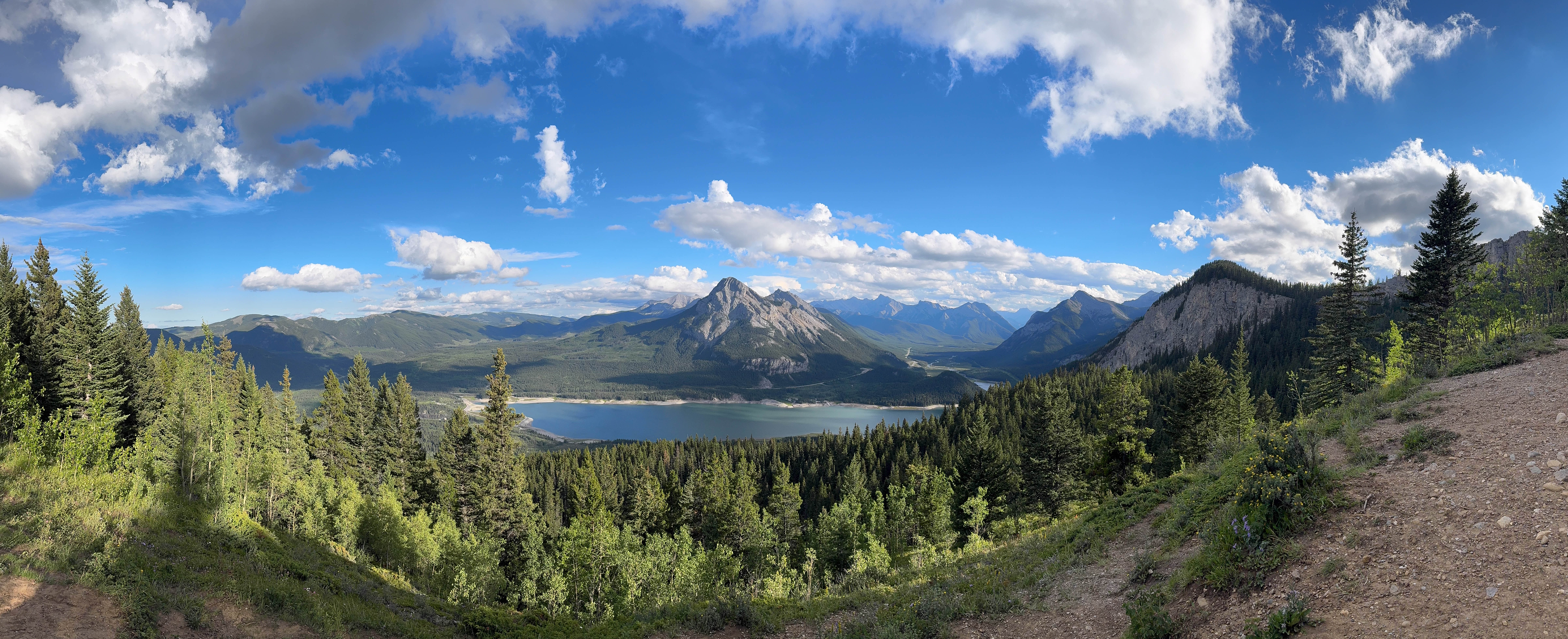 https://0201.nccdn.net/1_2/000/000/121/ac2/calgary-order-8.jpg