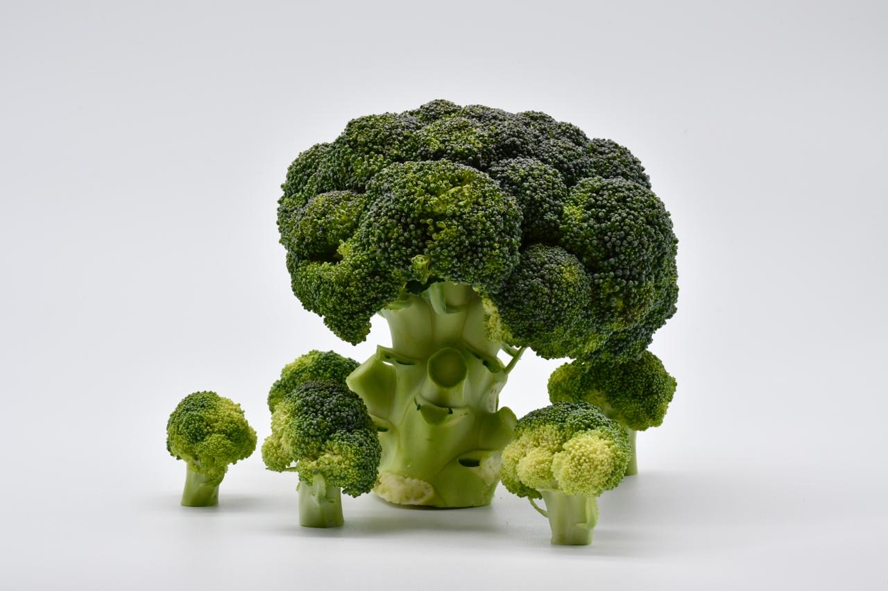 BROCOLI