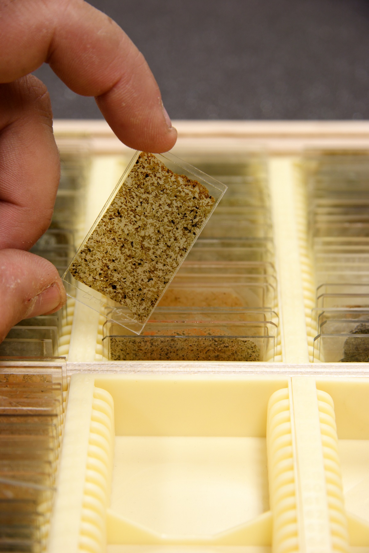 Thin Section 