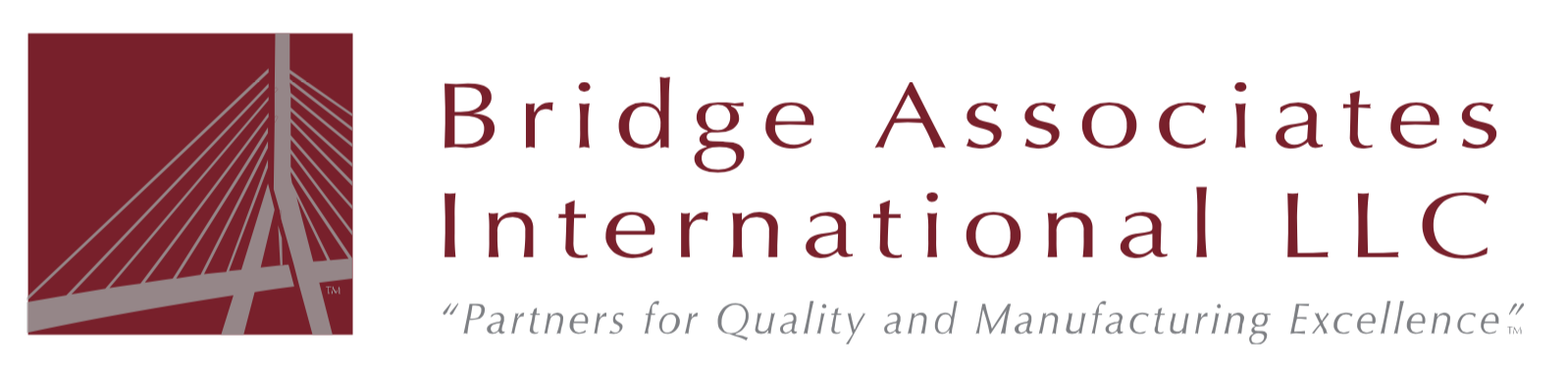 Bridge Associates International 