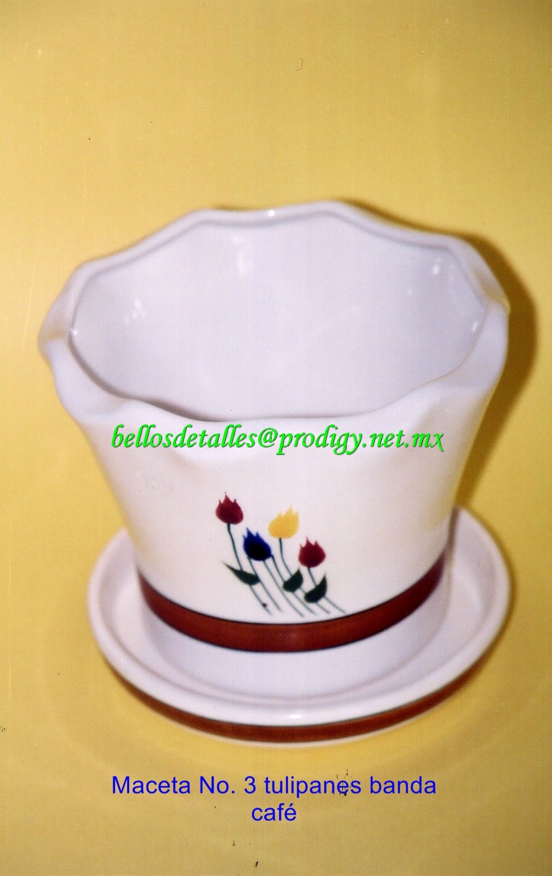 https://0201.nccdn.net/1_2/000/000/122/13e/Maceta-No.-3-tulipanes-banda-caf---1112x1765.jpg