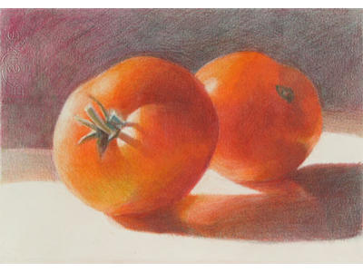 Two red tomatoes (Coloured Pencil) NFS