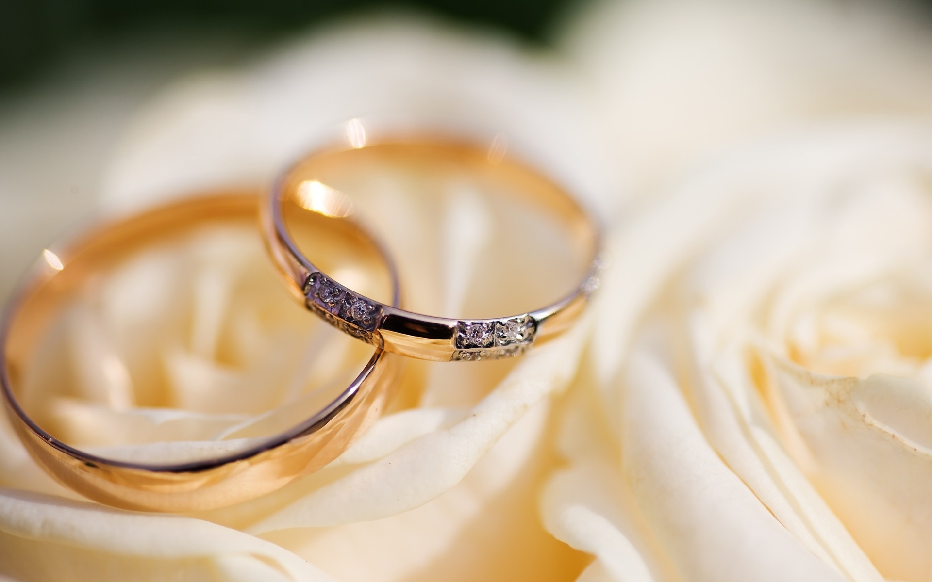 https://0201.nccdn.net/1_2/000/000/122/432/Wedding-rings_1920x1200-1920x1200.jpg