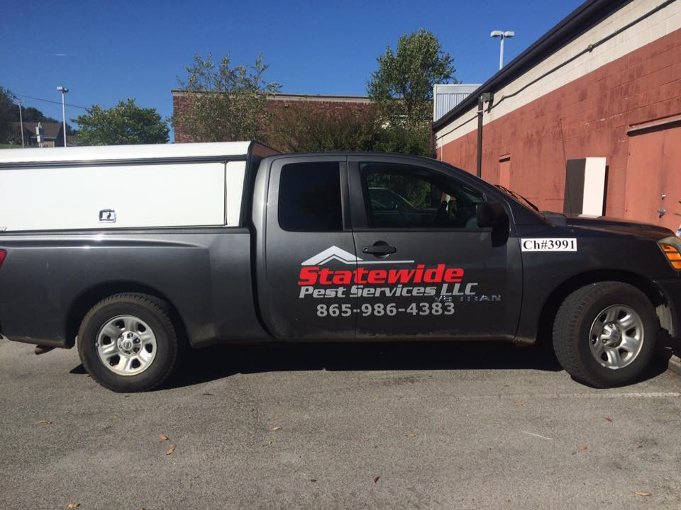Statewide Pest Services