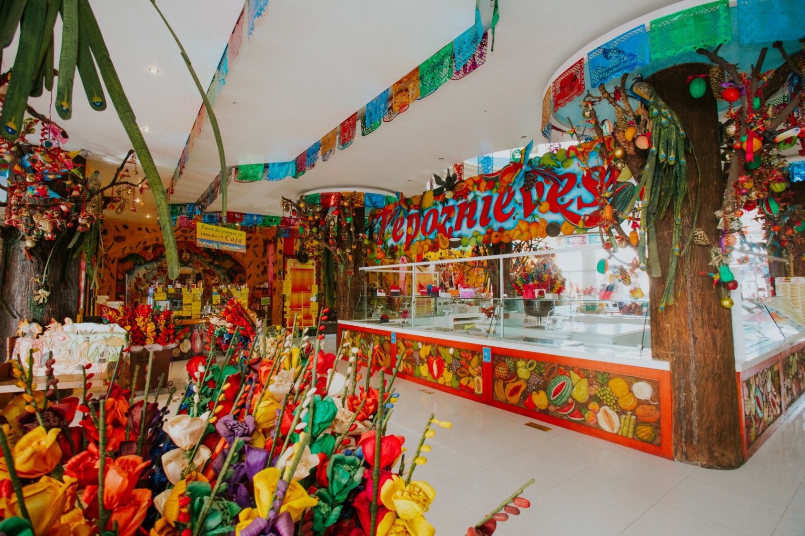 https://0201.nccdn.net/1_2/000/000/122/790/tepoznieves-5.jpeg