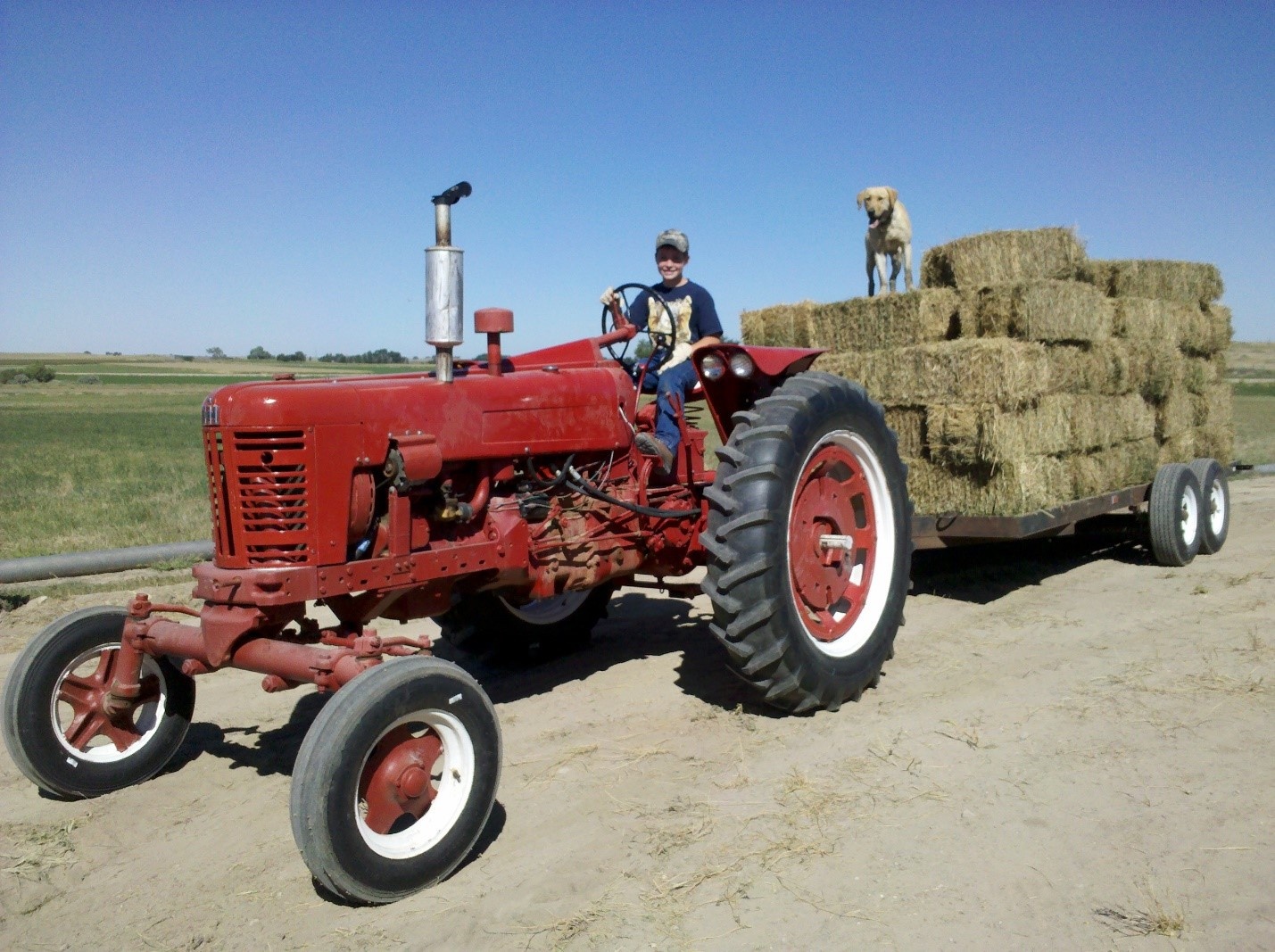 Nik, age 10, and Drake, hauling hay
