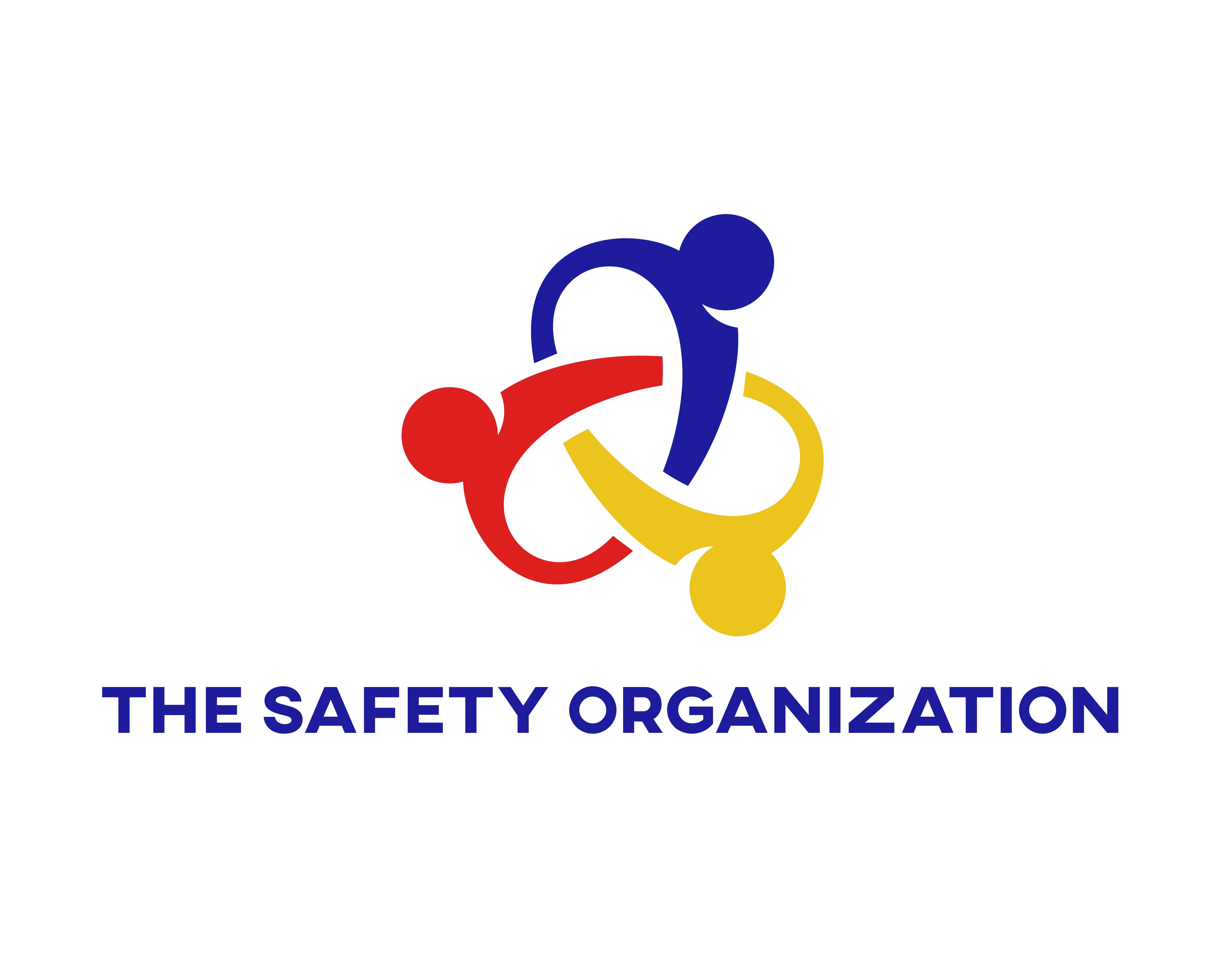 thesafetyorganization.com