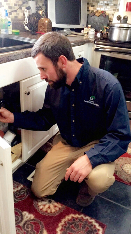 Inspecting Kitchen Cabinets