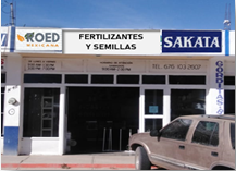 ROED GPE. VICTORIA, DURANGO