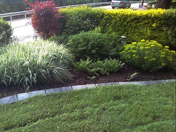 Hardscaping Services