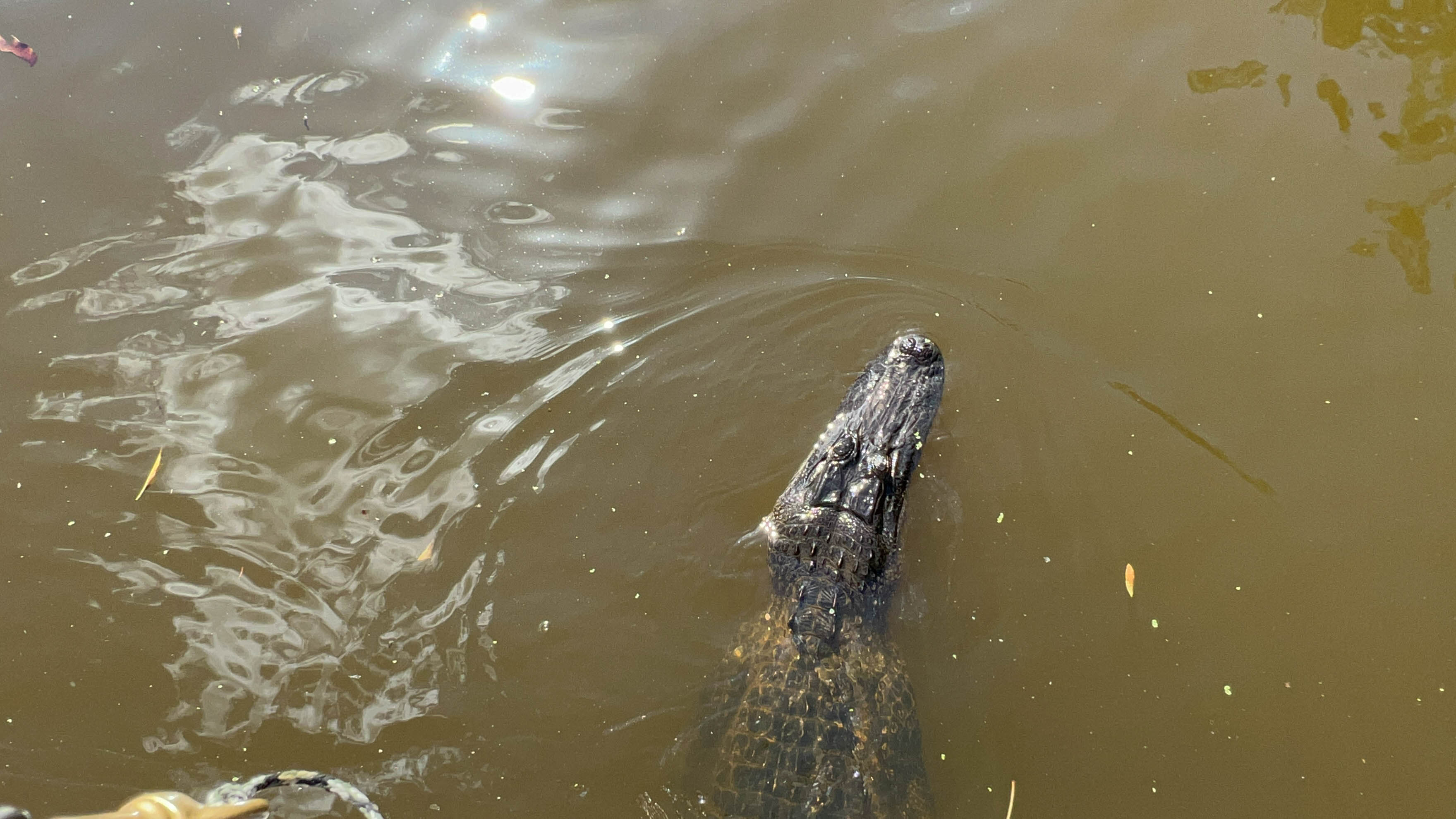 https://0201.nccdn.net/1_2/000/000/123/2ea/new-orleans-order-112.jpg