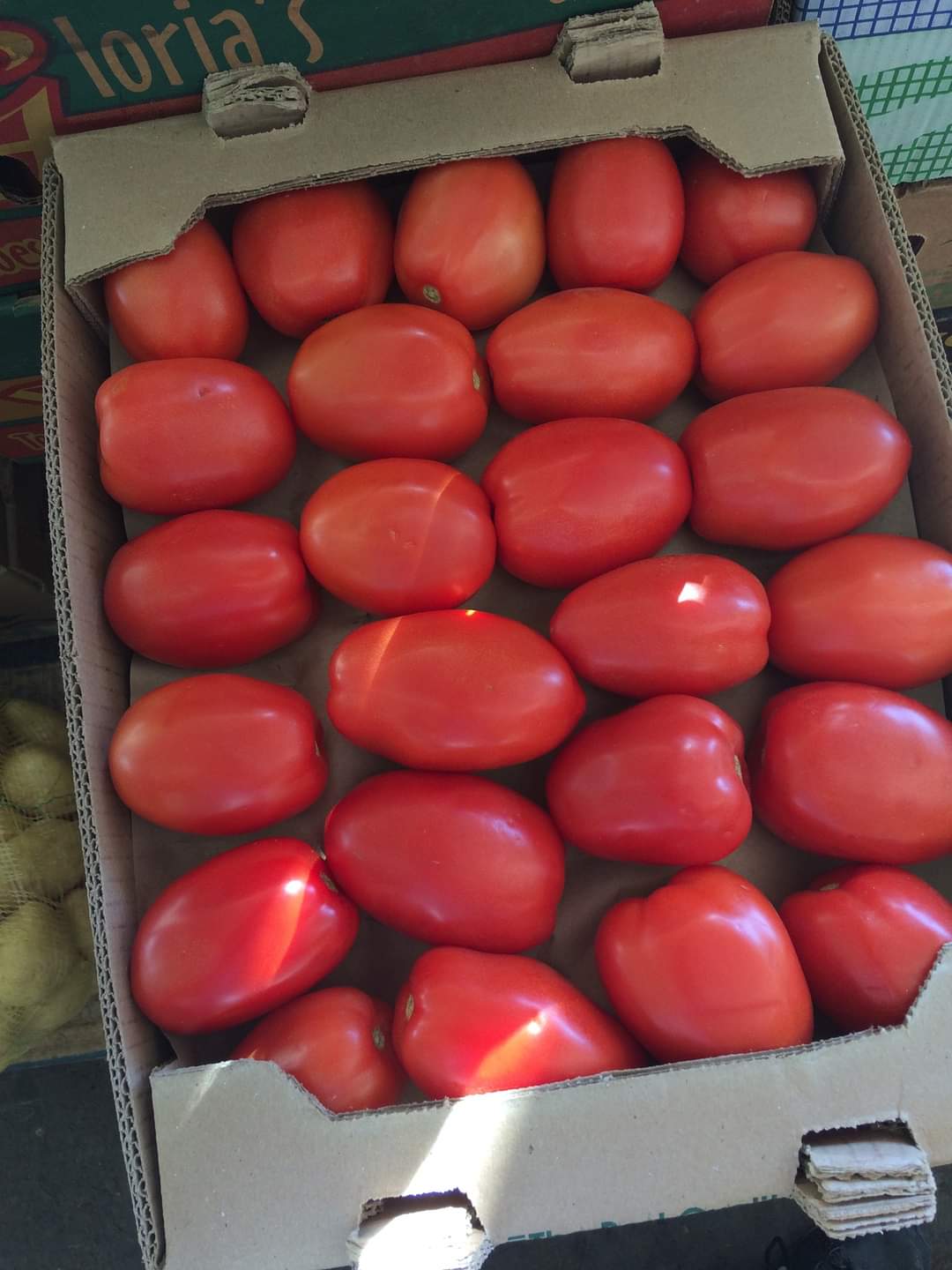 https://0201.nccdn.net/1_2/000/000/123/459/tomate-saladet.jpg
