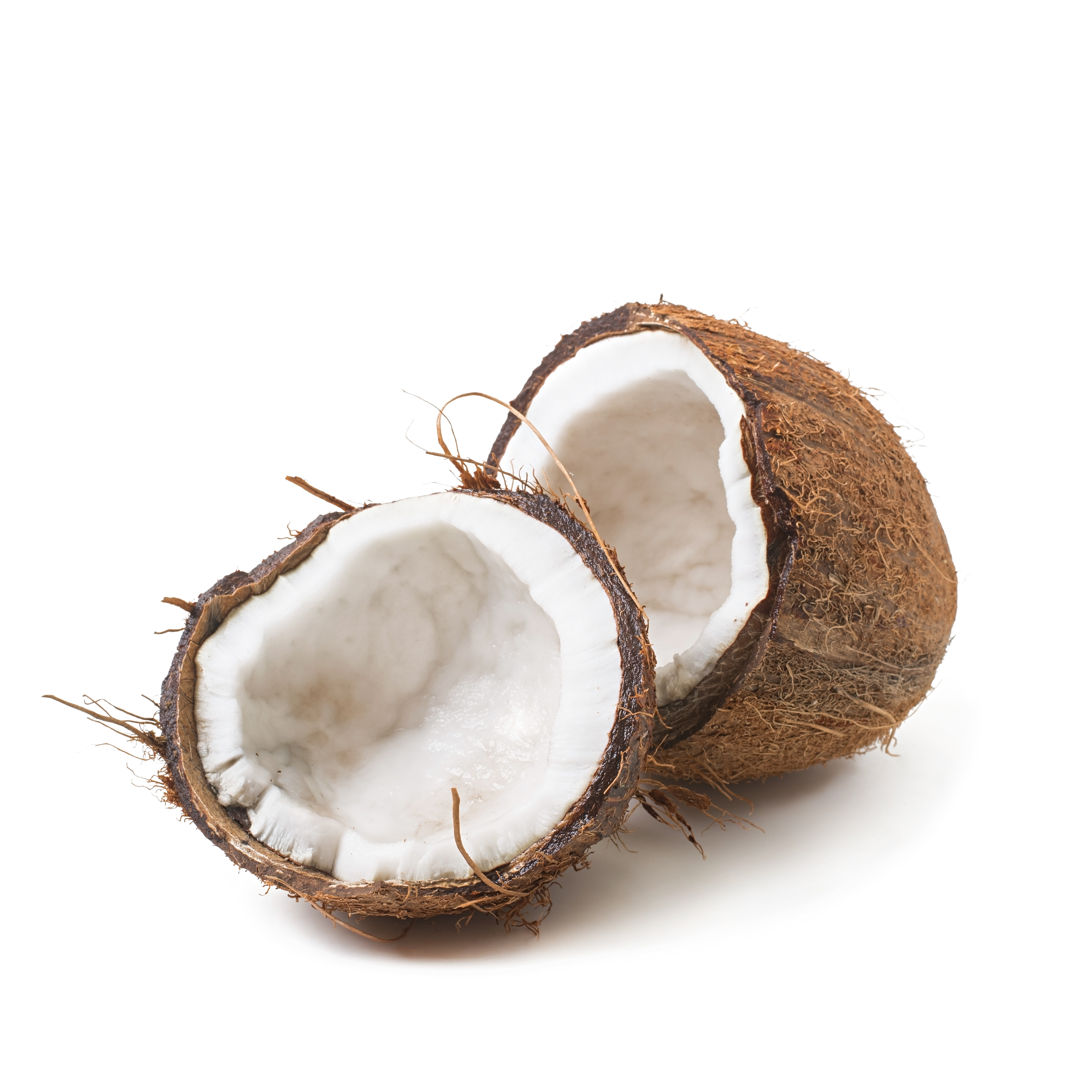 https://0201.nccdn.net/1_2/000/000/123/510/coconut-isolated-white-background.jpg