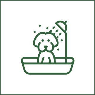 Pet Bathing