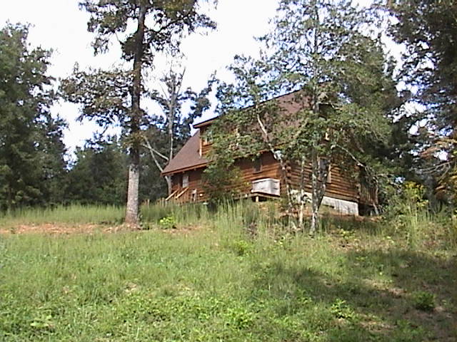 First Photo of the Backside