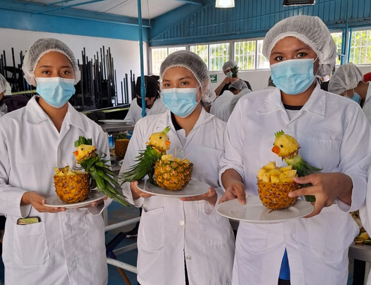https://0201.nccdn.net/1_2/000/000/124/19e/alimentos.png