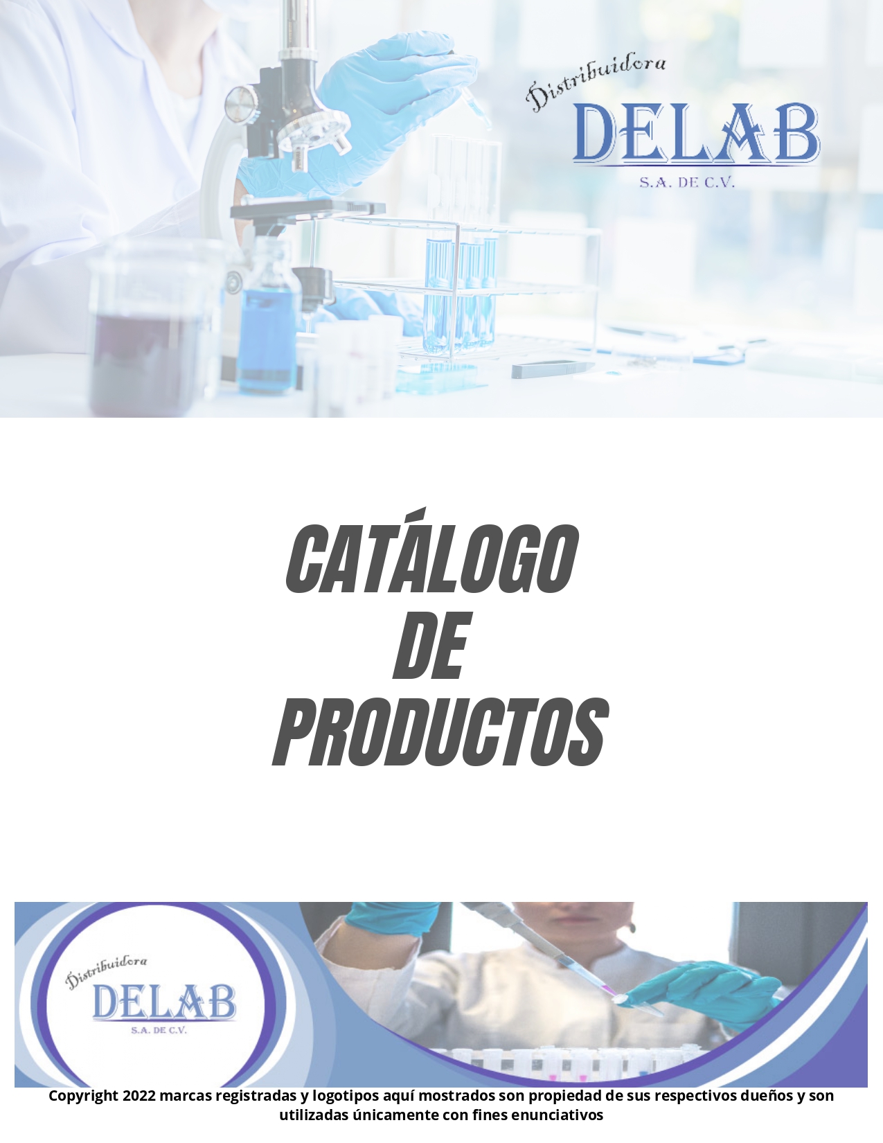 https://0201.nccdn.net/1_2/000/000/124/78c/catalogo-delab_page-0001.jpg