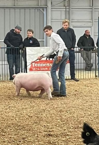 Nathan Roach 
2023 Freeze Out
2023 New Year's Spectacular
Champion Chester White Gilt