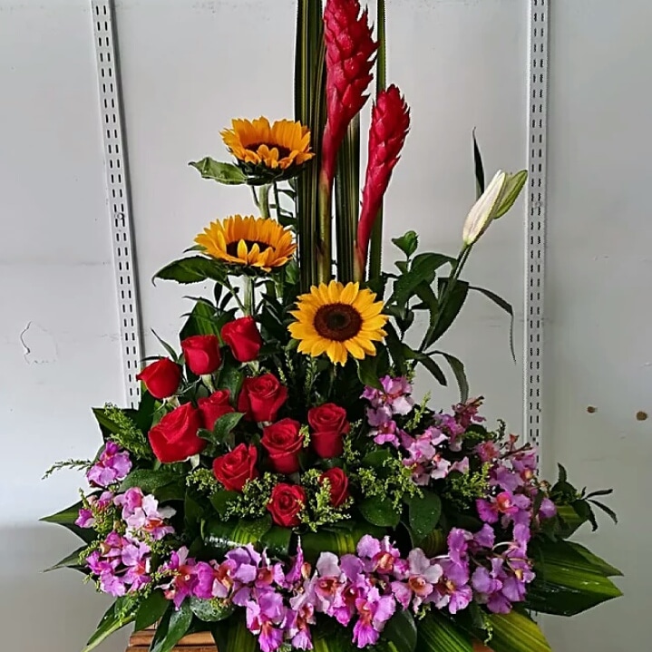 https://0201.nccdn.net/1_2/000/000/124/b0f/IMG-20190430-WA0084.jpg