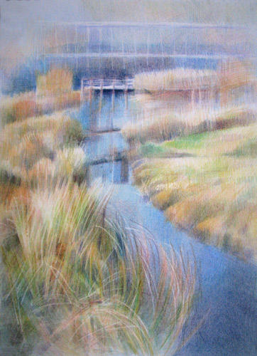 Ecology Park Pond 28.12.08 #1, 14" x 10", coloured pencils on Arches HP