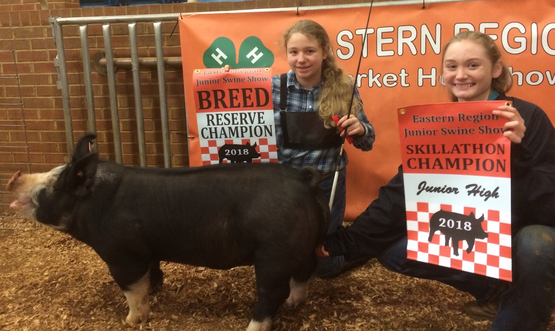 Abigail Henry 
2018 Tennessee Eastern Region Show
Reserve Champion AOB
