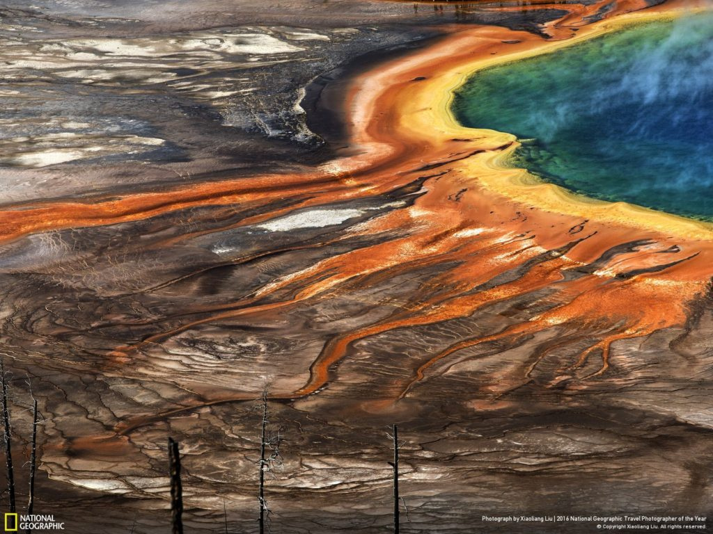 Side view of a white sports car