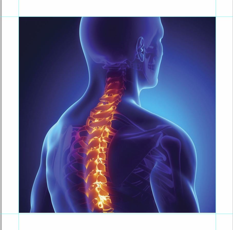 3D illustration of human spine and neck in blue and orange highlighting skeletal structure and vertebrae. 3D illustration of human spine and neck in blue and orange highlighting skeletal structure and vertebrae.
