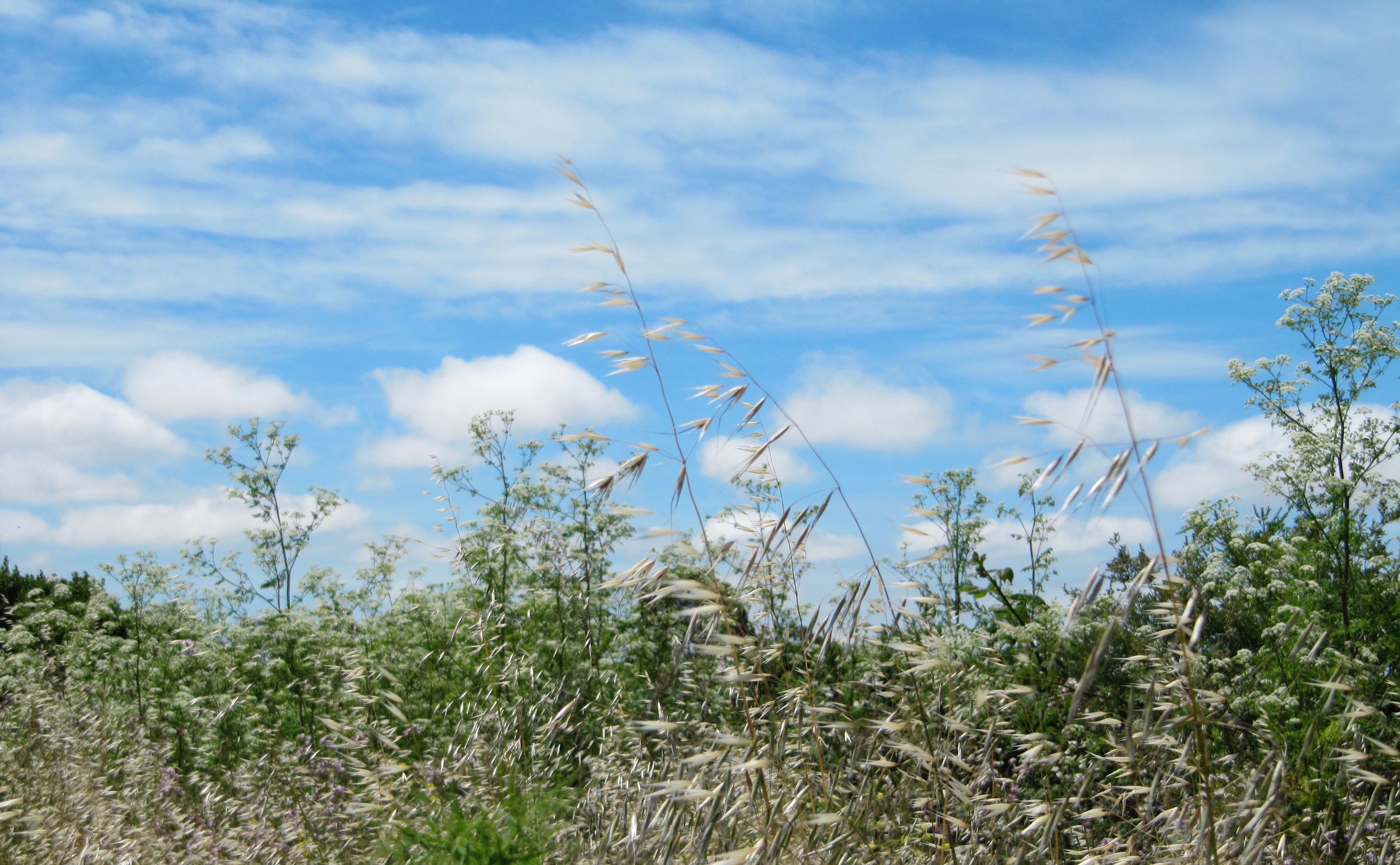 scape - series 1:3  2010