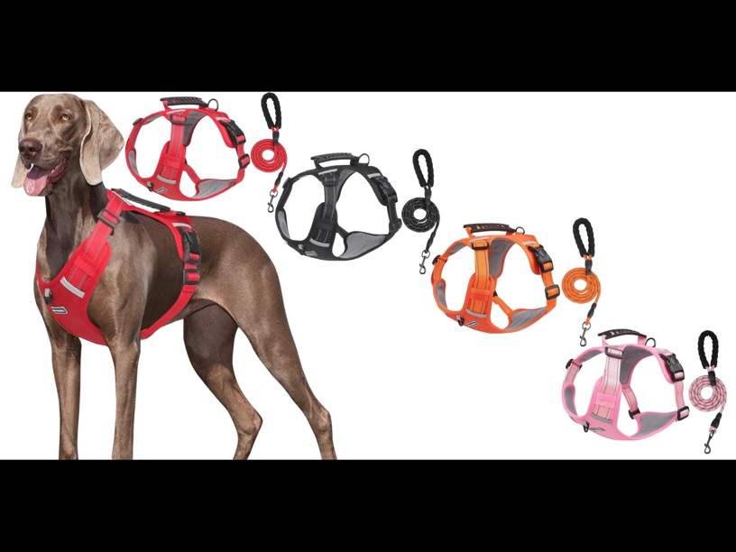 PECHERA ARNES DE SEGURIDAD
 C/CORREA COLORES